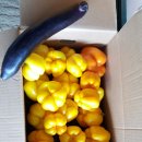 누나농장 이미지