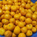 (주)아마란스 이미지
