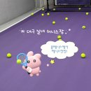 스튜디오콩테 | 대구테니스 콩테니스 - 테니스도배우고 데이트도하고🎾