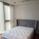 나무와풍경 이미지