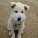 연세공감치과의원 이미지