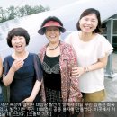 햇살가득 태양광발전소 이미지