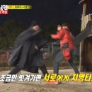 명연
