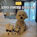 링크 늘푸른 애견호텔 | 애견동반상하이숙소 리버데일 레지던스 신천지 강아지동반숙소로 가성비 최저가 예약