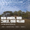 단종역사관 | 영월 단종 유적지 코스 | 관풍헌 장릉 단종역사관 다녀온 후기