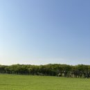 제주아그로 이미지