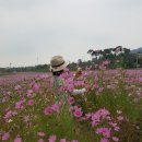 홍예공원로 이미지