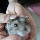 혜성합기도 | 백문백답