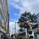 삿포로 공항버스 이용 후기 | 스스키노 → 신치토세 공항 리무진버스 시간표 요금 총정리