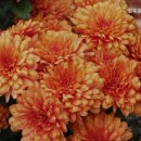 전곡(효사랑)노인병원 | 일사서구 요양원 찾으신다면 성우효너싱홈 가정 같은 분위기 제공