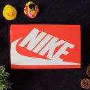 크린화이트 이미지