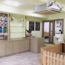 다온 펫 살롱 이미지