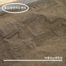 면역자연치유센터 이미지