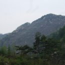 소백산향기나라 이미지