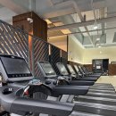 넥스트짐 이천마장점 헬스 PT 이미지