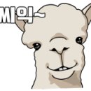 알줍 이미지
