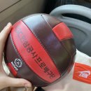 빛고을열린약국 | 아침에 모 닝쿨피스던 내가