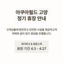 아쿠아필드 고양 이미지