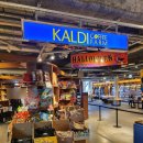 (주)이온팜 | 하코다테 렌터카 쇼핑 루트 완전정리｜칼디커피팜·츠타야서점·유니클로·메가돈키호테 후기