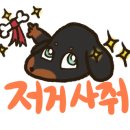 카페채채 이미지