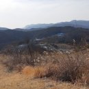 우민농장 티스토리