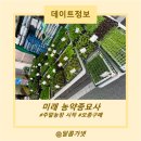 창원 주말농장 모종구매 후기_주말농장 준비방법_미래 농약종묘사