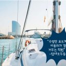 마리나선박대여업협동조합 | “수영만 요트계류장 이용허가 갱신 거부는 적법” 재결[출처. 국제신문]