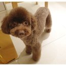 더바름동물병원 이미지