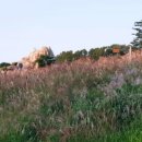 수리산둘레길 이미지