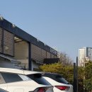 호서로 | W9. 무하 스튜디오(디엘픽쳐스)웨딩촬영 후기 (웨딩촬영 25년 12월 중순)