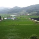 강화에이스공인중개사사무소 이미지