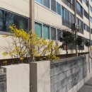 작전 삼보아파트 이미지