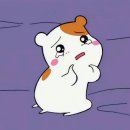 자유여행영어 이미지