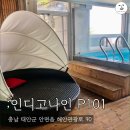P101 | [태안풀빌라펜션]넓은 개별수영장과 스파가 있는 안면도'인디고나인' P101 후기