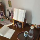 그루밍 멍 | 23p 노견 멍집사 일상 기록 동물병원 두찜