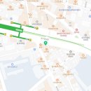 대구강아지분양 원펫 이미지