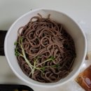 하루엔소쿠의왕내손점