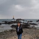 카페라이더 Daum카페