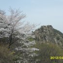 정릉66 이미지