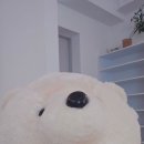 파티파티노래연습장 이미지