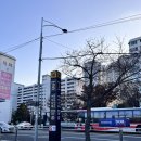 [내돈내산] 2024 여의도 로맨틱 한강 크리스마스 마켓 후기 (위치, 날짜, 체험 부스 꿀팁)