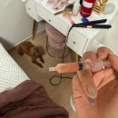 놀러오개 서대문점 이미지