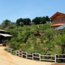 금형농장 이미지