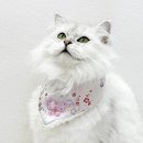 호나미네