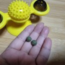 파인드스토리 이미지