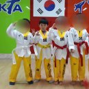 영종하늘태권도장 이미지