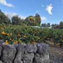 녹산2농장 이미지