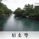 과원동로 이미지