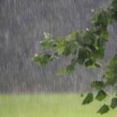 남성이용소 이미지