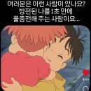 세븐일레븐 방배현대점 | 1월 일상 #4 (SAAP, 711와인 앙리지로 퓌드센, 하시라, 몬트쿠키두바이, 무알콜 맥주 추천, 퀸즈베리도넛)